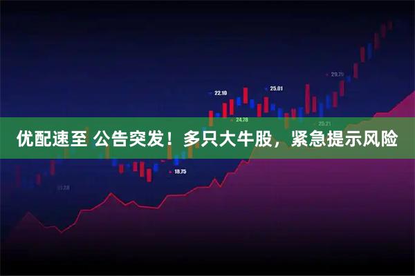 优配速至 公告突发！多只大牛股，紧急提示风险