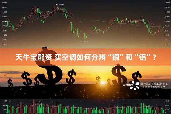 天牛宝配资 买空调如何分辨“铜”和“铝”？