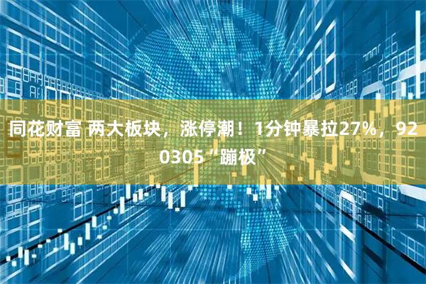 同花财富 两大板块，涨停潮！1分钟暴拉27%，920305“蹦极”